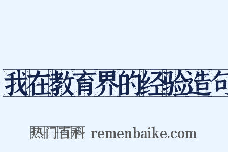 我在教育界的经验造句是什么意思的图片